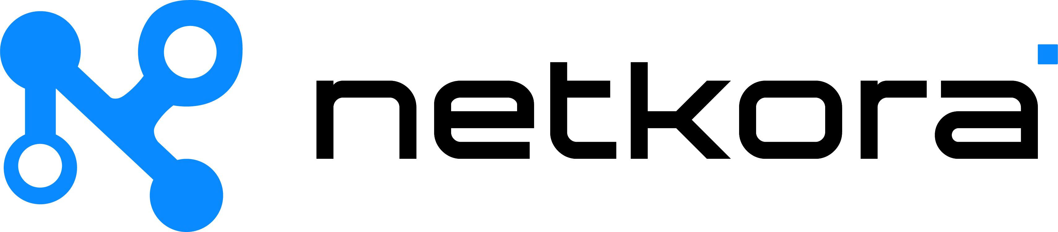 Netkora Logo